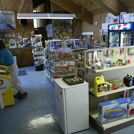 Snowflower Camping Resort Cabin 3 Emigrant Gap المظهر الخارجي الصورة