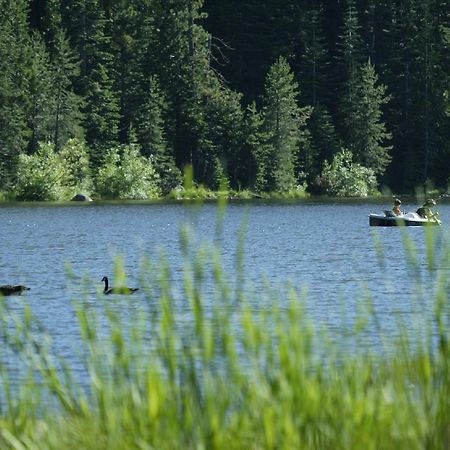 Snowflower Camping Resort Cabin 3 Emigrant Gap المظهر الخارجي الصورة