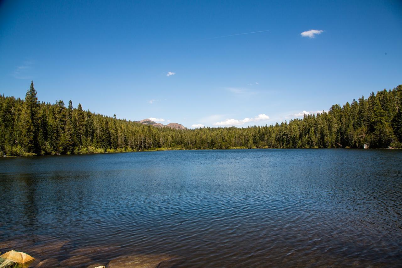 Snowflower Camping Resort Cabin 3 Emigrant Gap المظهر الخارجي الصورة